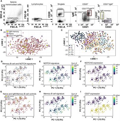 The Splenic Marginal Zone in Children Is Characterized by a Subpopulation of CD27-Negative, Lowly IGHV-Mutated B Cells